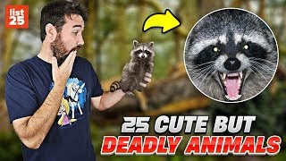 Deceptively Adorable: 10 Cute Animals That Conceal Surprising Dangers